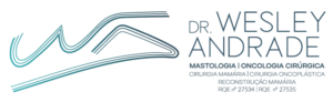 Logo Dr Wesley Andrade - color