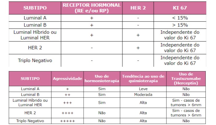 Infográfico apresenta subtipos de câncer de mama