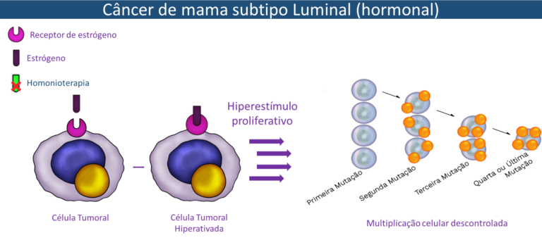 Ação hormonal no câncer de mama - célula tumoral